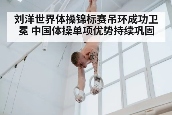 gymnastics rings competition